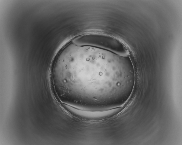 X0000116811325200912241213