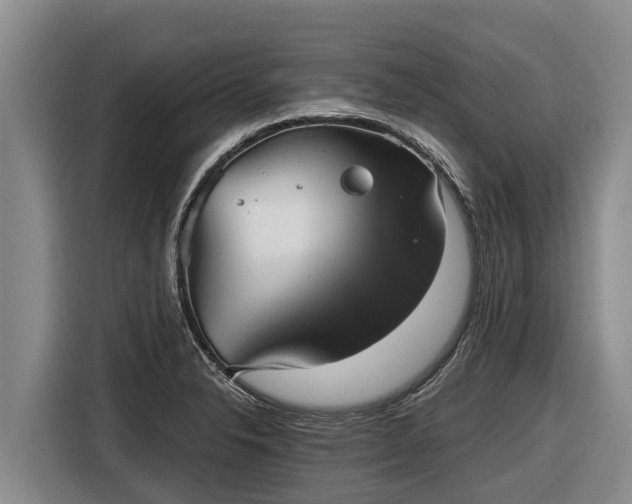 X0000116811326200912241213