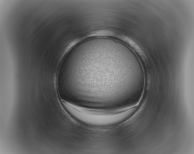 X0000116811329200912241213