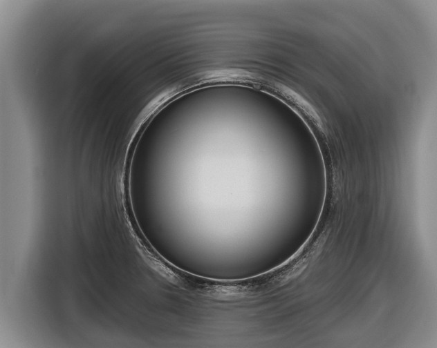 X0000116811330200912241213