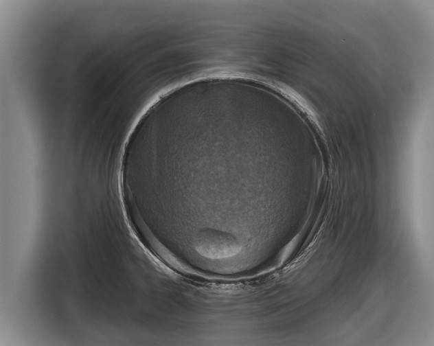 X0000116811334200912241213