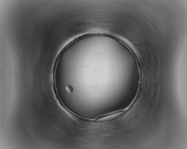 X0000116811335200912241213