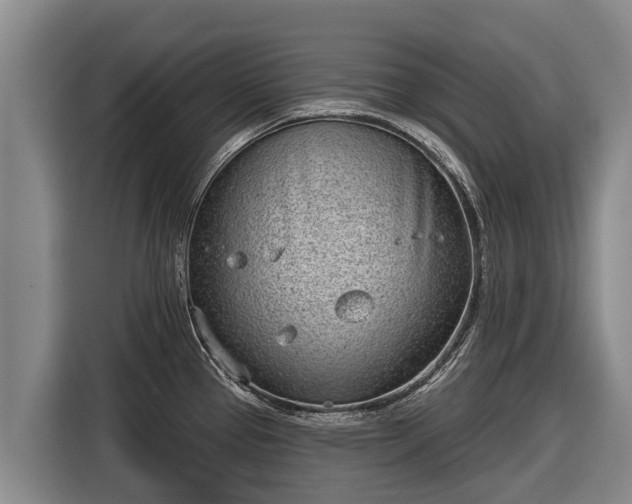 X0000116811337200912241213