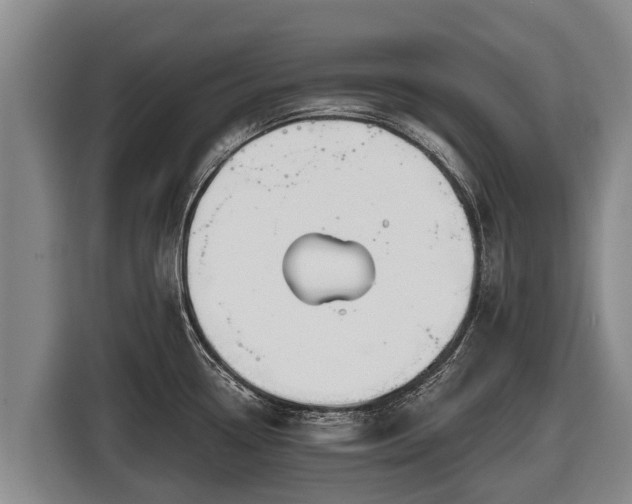 X0000116811338200912241213