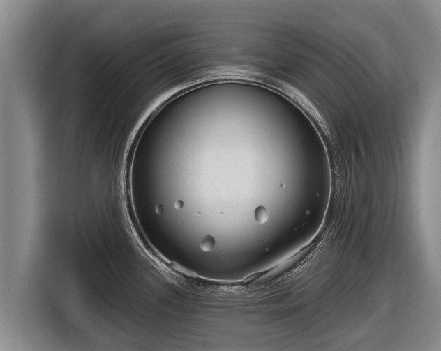 X0000116811339200912241213