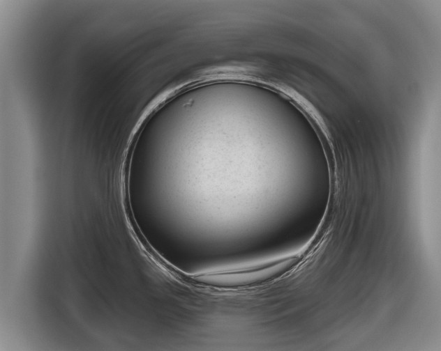 X0000116811341200912241213