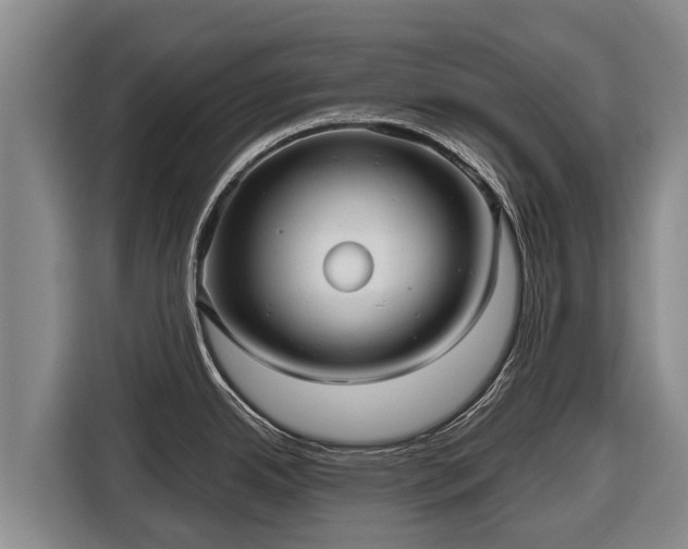 X0000116811342200912241213