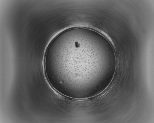 X0000116811343200912241213