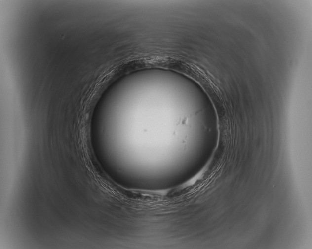 X0000116811345200912241213