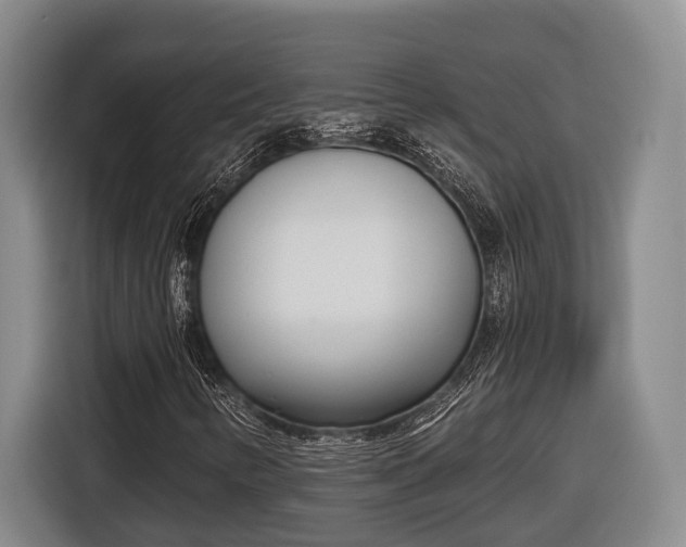 X0000116811346200912241213