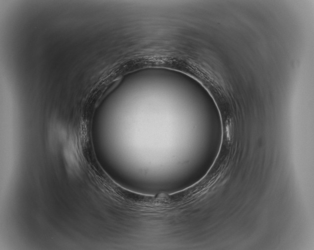 X0000116811347200912241213