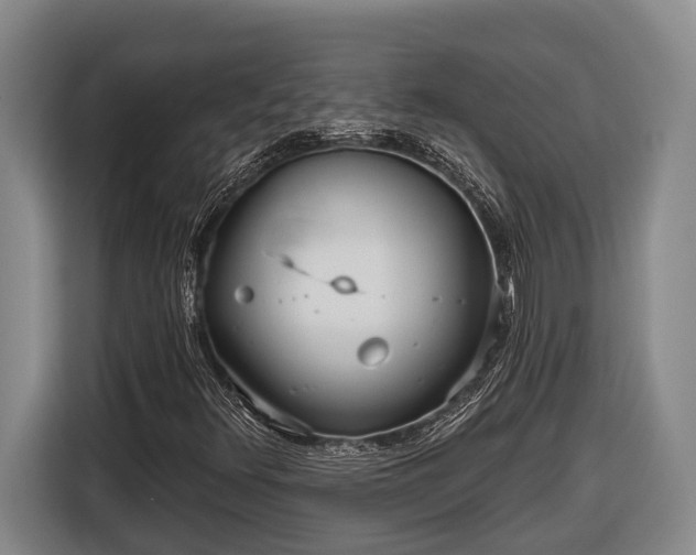 X0000116811348200912241213