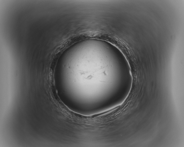 X0000116811349200912241213