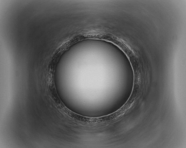 X0000116811350200912241213