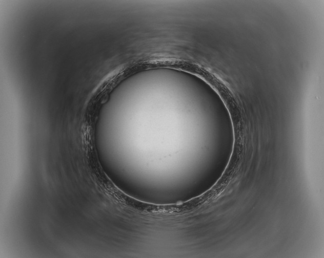 X0000116811351200912241213