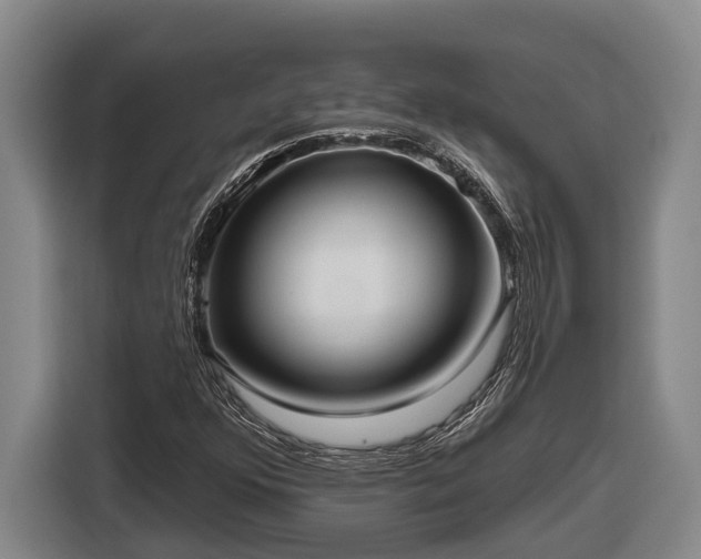 X0000116811352200912241213