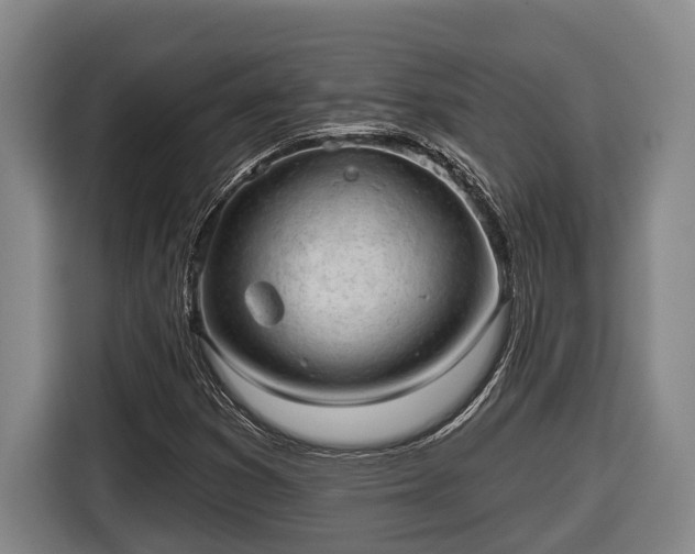 X0000116811353200912241213