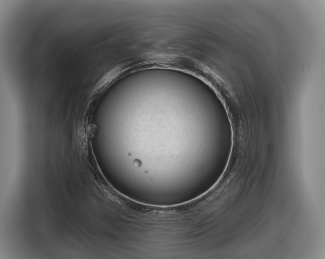 X0000116811354200912241213