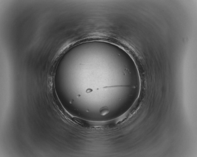 X0000116811355200912241213