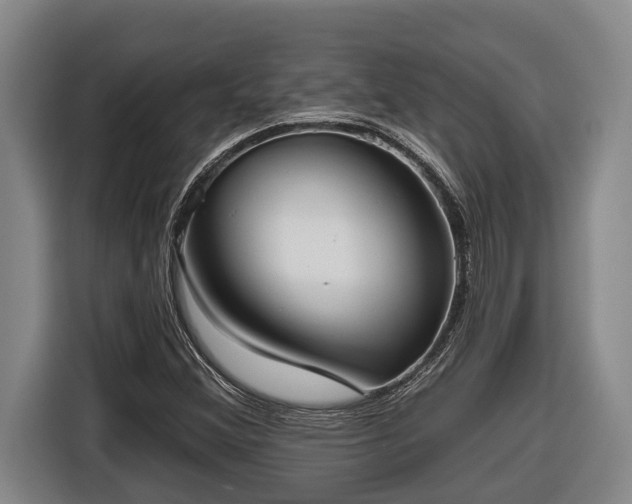 X0000116811356200912241213