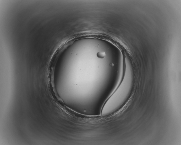 X0000116811357200912241213