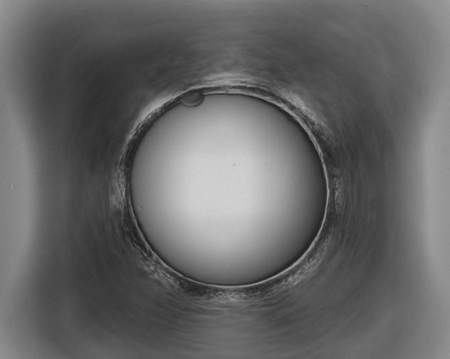 X0000116811358200912241213