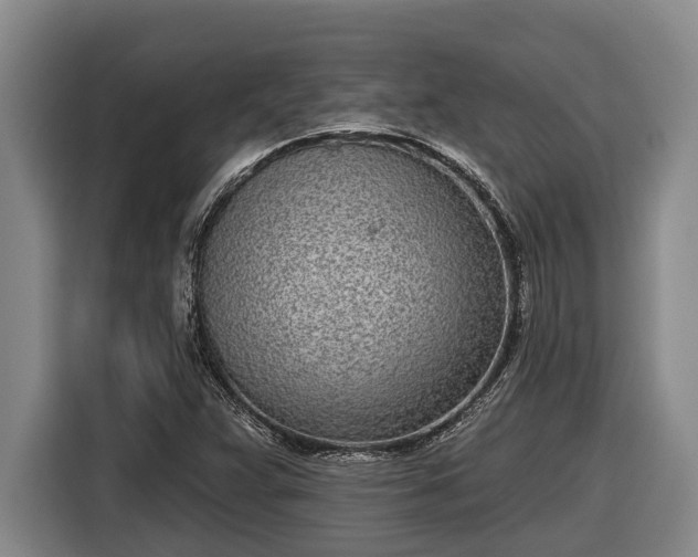 X0000116811359200912241213