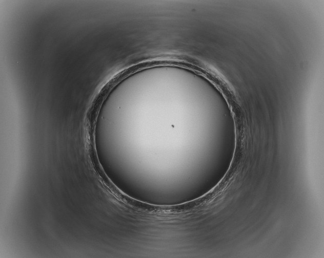 X0000116811360200912241213