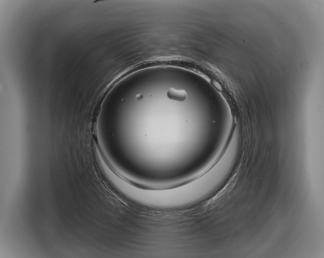 X0000116811361200912241213