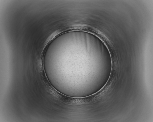 X0000116811362200912241213