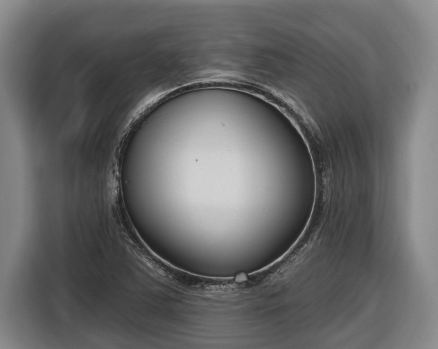 X0000116811363200912241213