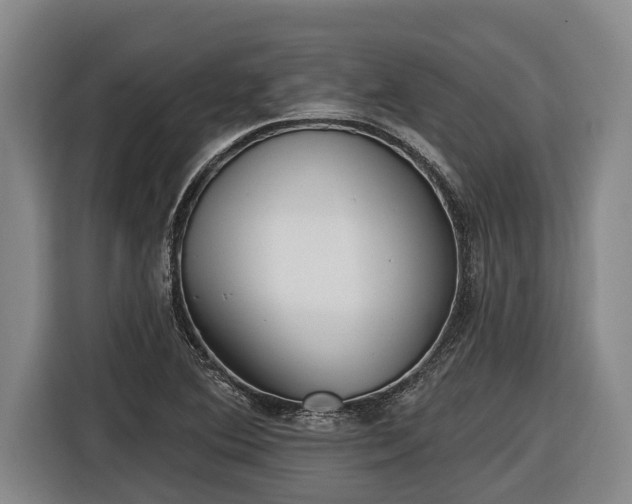 X0000116811364200912241213