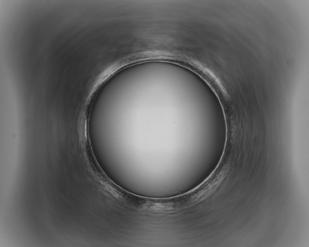 X0000116811365200912241213