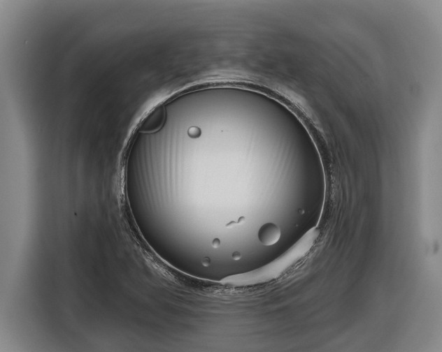 X0000116811366200912241212