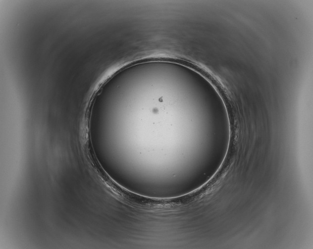 X0000116811367200912241212