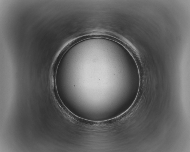 X0000116811368200912241212