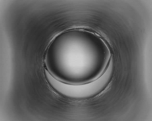 X0000116811369200912241212