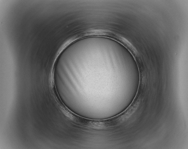 X0000116811370200912241212