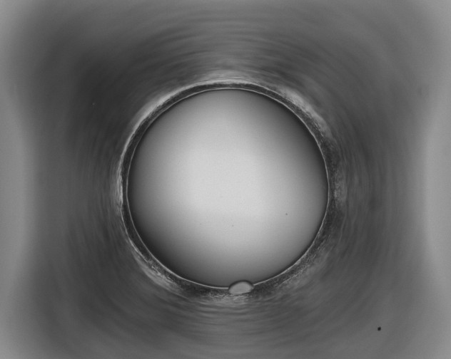 X0000116811372200912241212