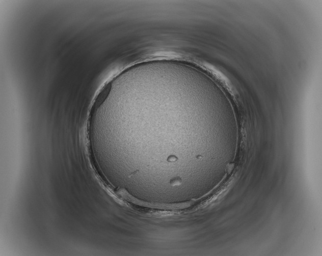 X0000116811373200912241212