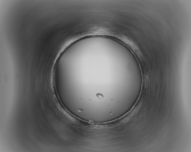 X0000116811374200912241212