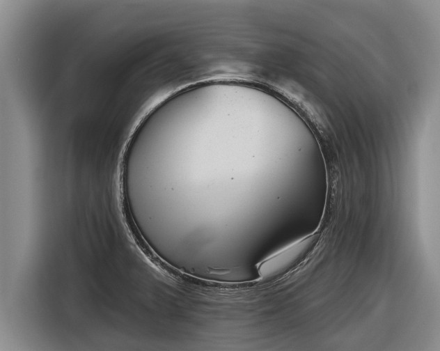 X0000116811375200912241212