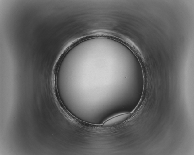 X0000116811376200912241212