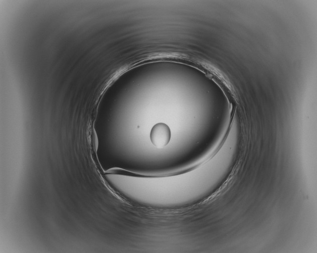 X0000116811377200912241212