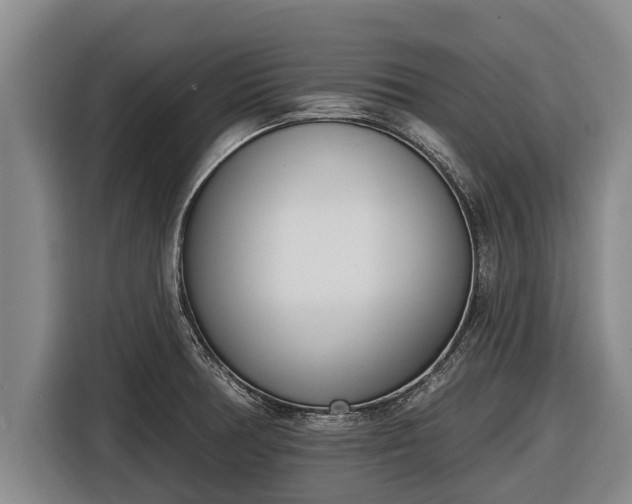 X0000116811378200912241212