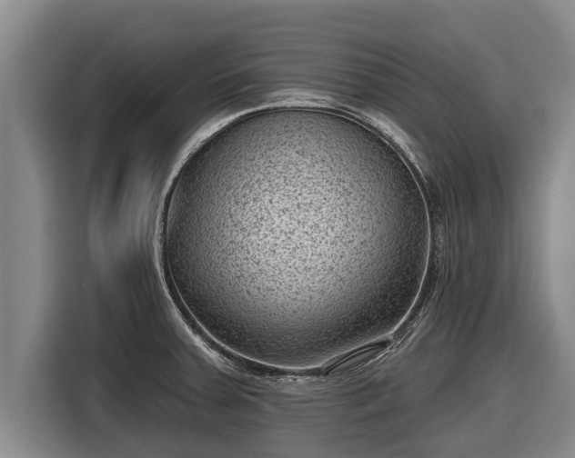 X0000116811379200912241212