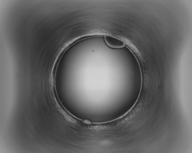 X0000116811380200912241212