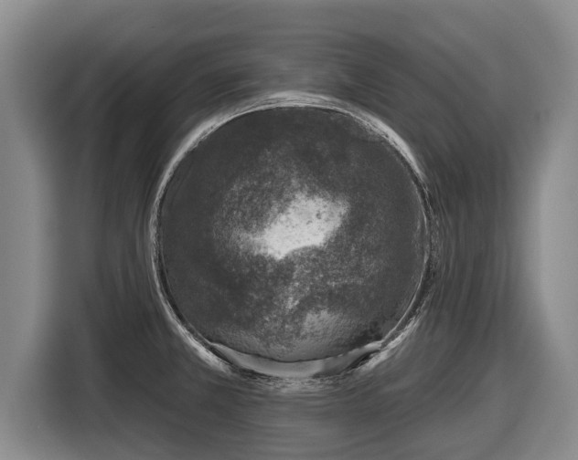 X0000116811381200912241212