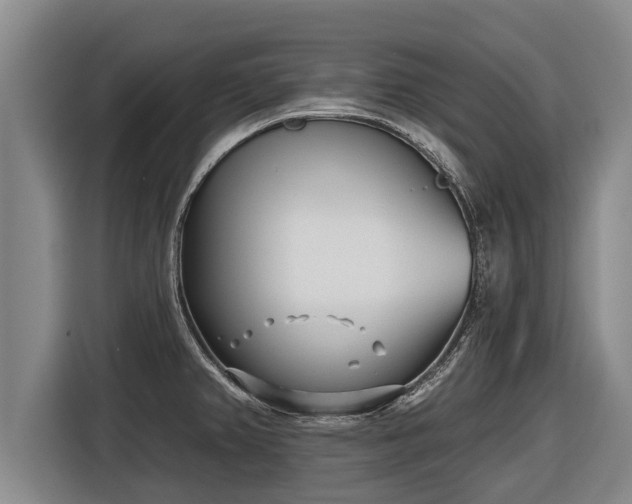 X0000116811382200912241212