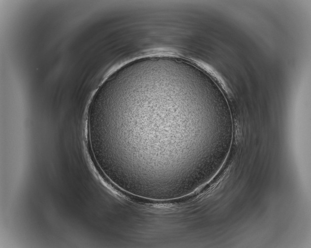 X0000116811383200912241212